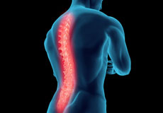 Spine Comprehensive Medicine